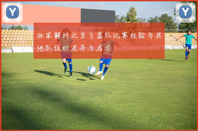 独家解析北京飞盘队比赛经验与其他队伍的差异与启示