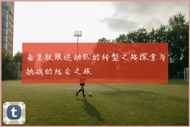 南京极限运动队的转型之路探索与挑战的结合之旅