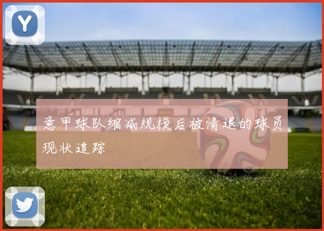意甲球队缩减规模后被清退的球员现状追踪