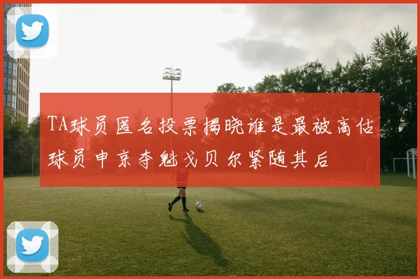 TA球员匿名投票揭晓谁是最被高估球员申京夺魁戈贝尔紧随其后